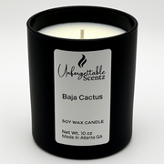 Baja Cactus Blossom