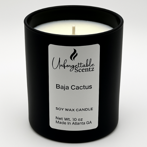 Baja Cactus Blossom